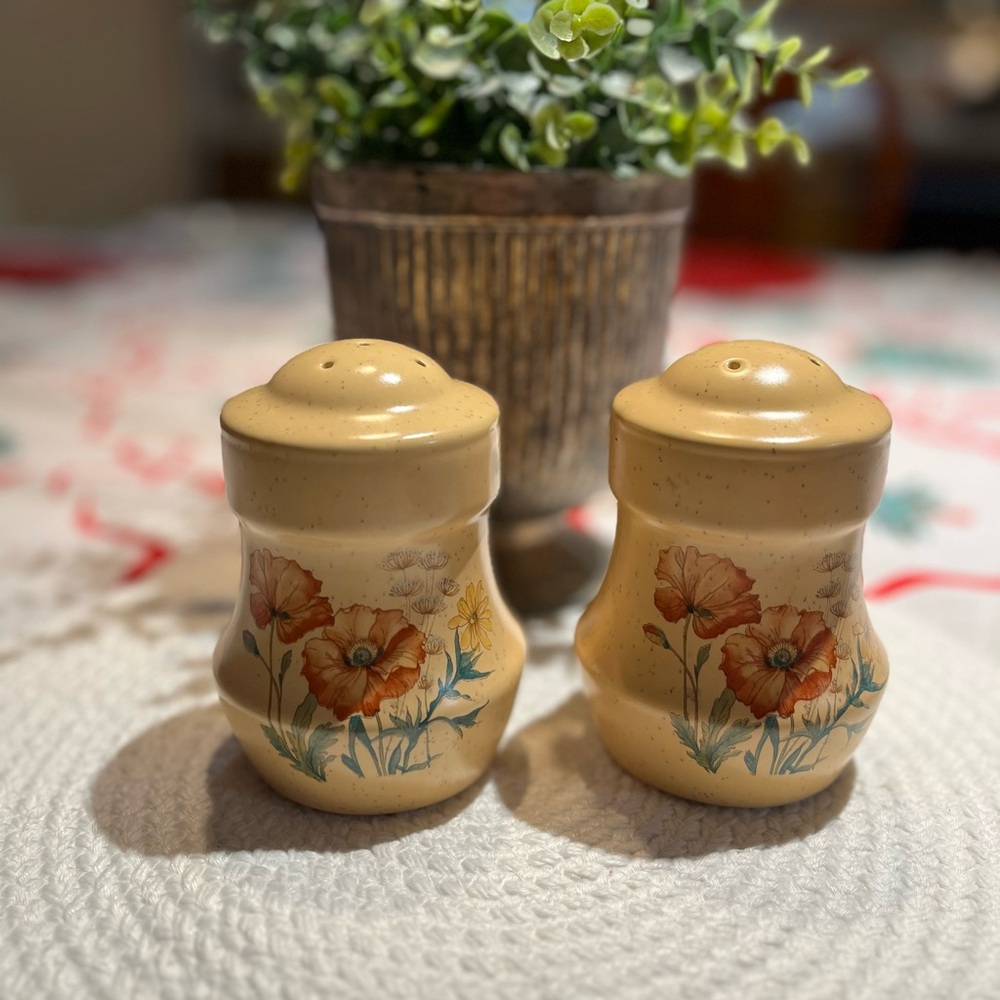 Vintage salt and pepper salt shakers